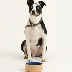 Cane & Blue Lettered Dog Bowl 18cm