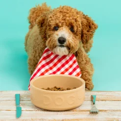 Cane Lettered Dog Bowl 15cm