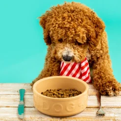 Cane Lettered Dog Bowl 15cm