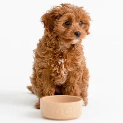 Cane Lettered Dog Bowl 13cm