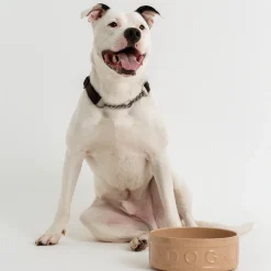 Cane Lettered Dog Bowl 25cm