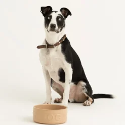 Cane Lettered Dog Bowl 25cm