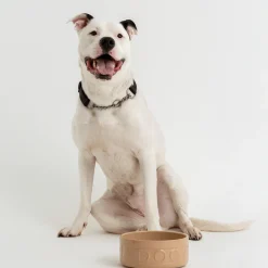 Cane Lettered Dog Bowl 20cm