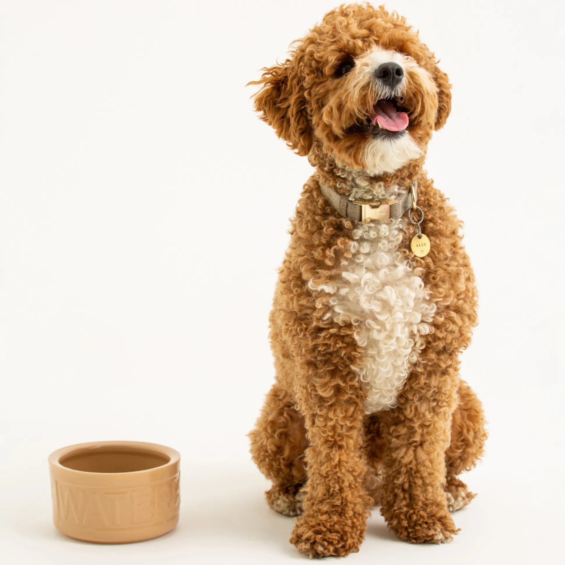 Cane Lettered Dog Water Bowl 15cm