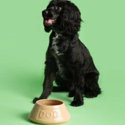 Cane Non Tip Lettered Dog Bowl 21cm