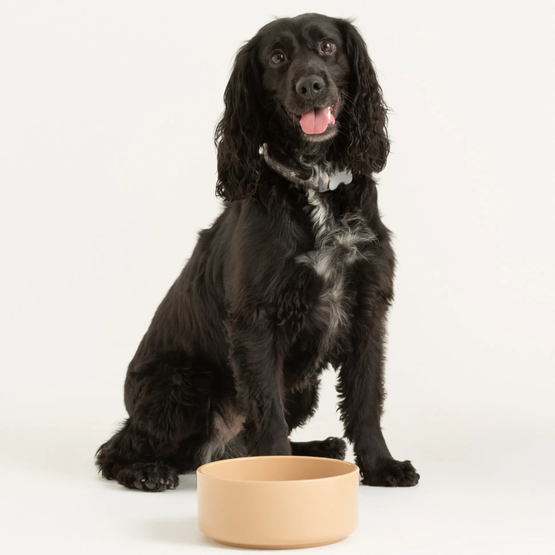 Cane Pet Bowl 15cm