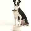Colour Mix Cream Set Of 2 Dog Bowls 20cm