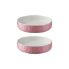 Colour Mix Pink Set Of 2 Cat Saucers 13cm
