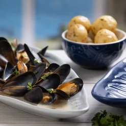 Nautical Medium Shell Platter