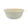 Nautical S24 Blue Turtle Mixing Bowl 24cm