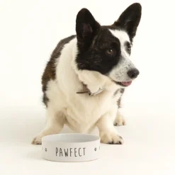 Pawfect Set Of 2 Dog Bowls 15x5cm