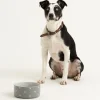 Polka Dot Grey Set Of 2 Dog Bowls 18cm