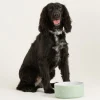 Polka Dot Sage Set Of 2 Dog Bowls 18cm