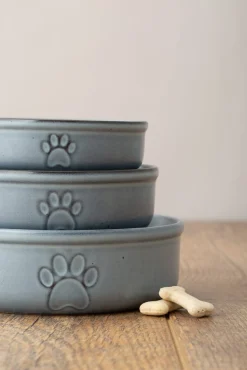 Reactive Paw 18x6cm Bowl