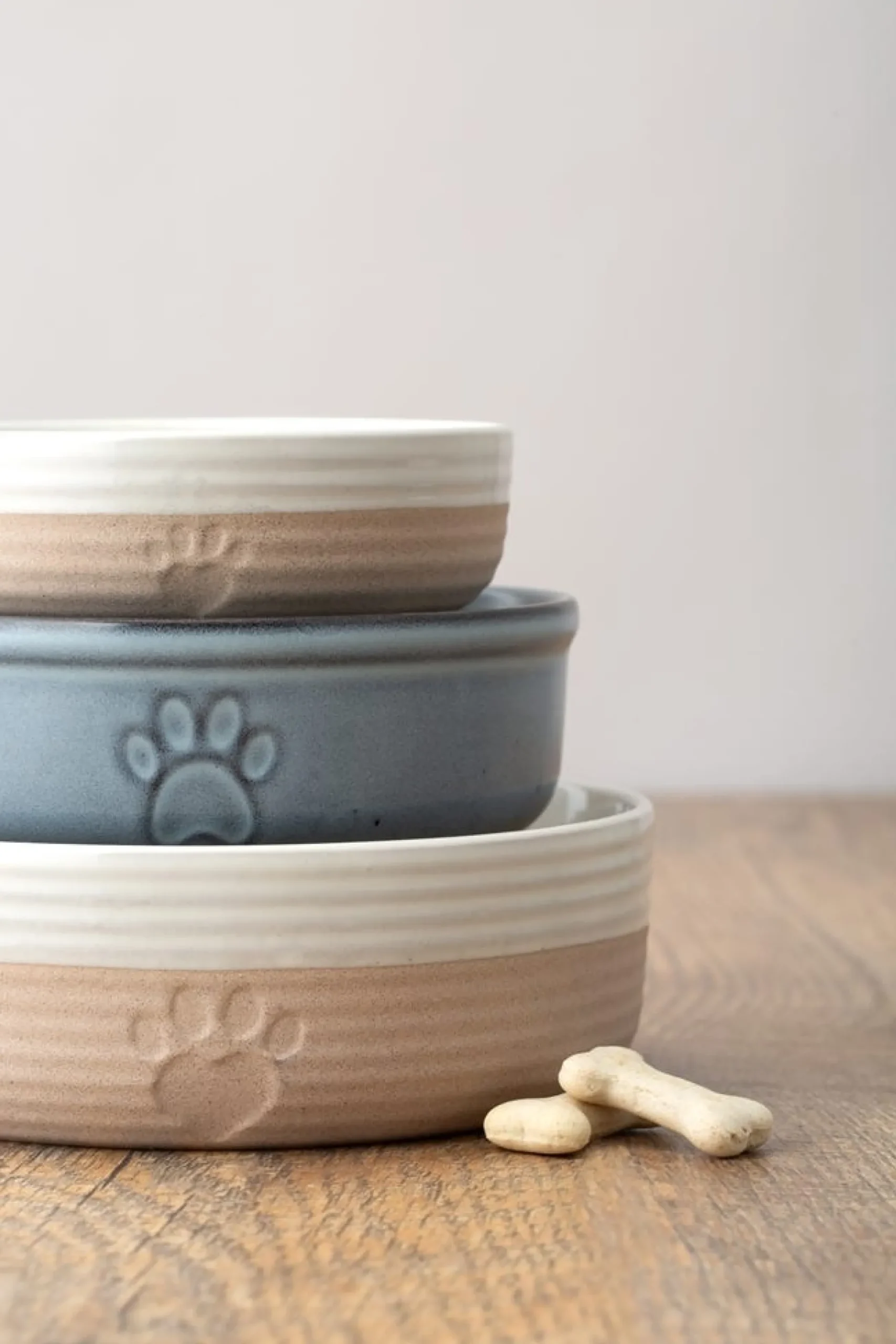 Reactive Paw 18x6cm Bowl