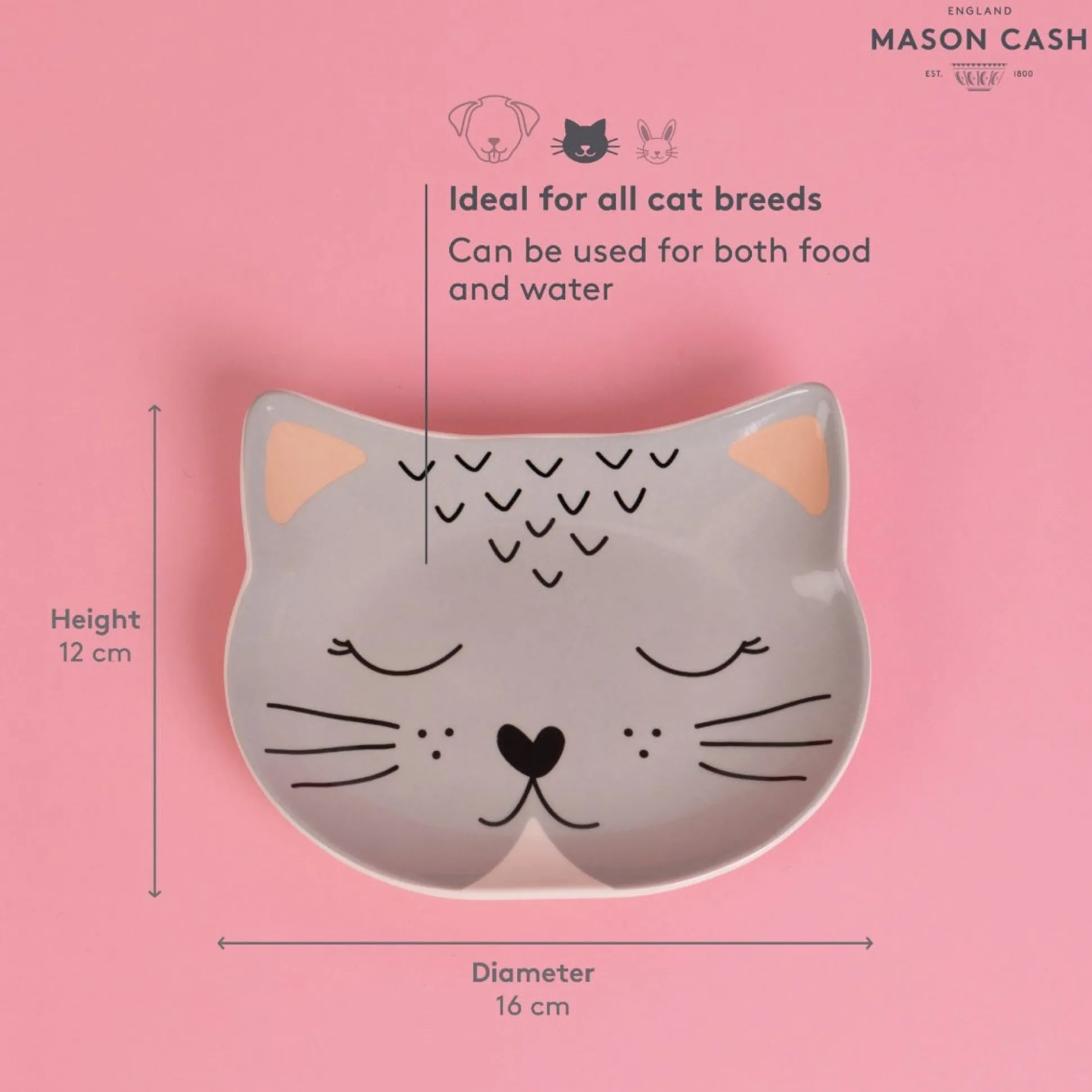 Smokey Cat Bowl 16x13cm